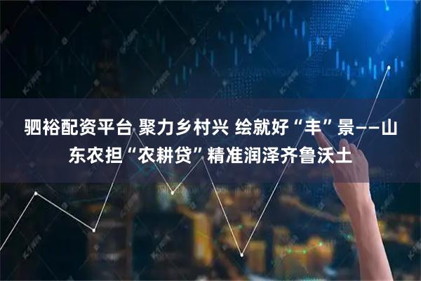 驷裕配资平台 聚力乡村兴 绘就好“丰”景——山东农担“农耕贷”精准润泽齐鲁沃土
