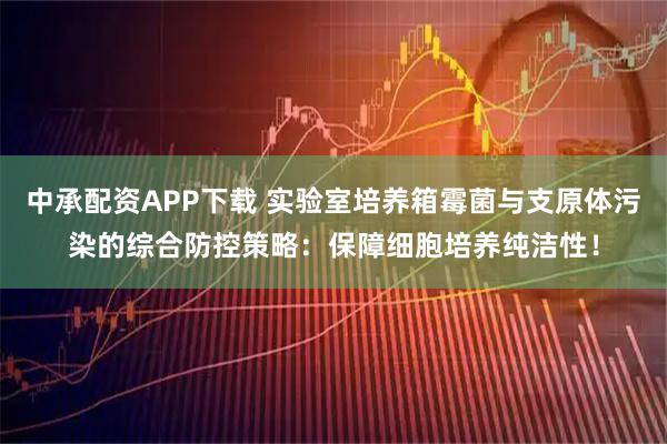 中承配资APP下载 实验室培养箱霉菌与支原体污染的综合防控策略：保障细胞培养纯洁性！